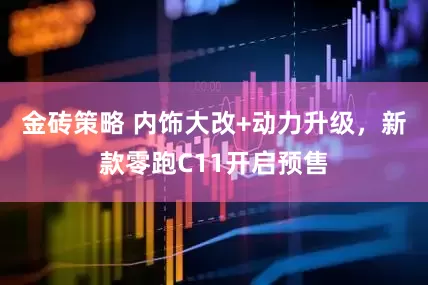 金砖策略 内饰大改+动力升级，新款零跑C11开启预售