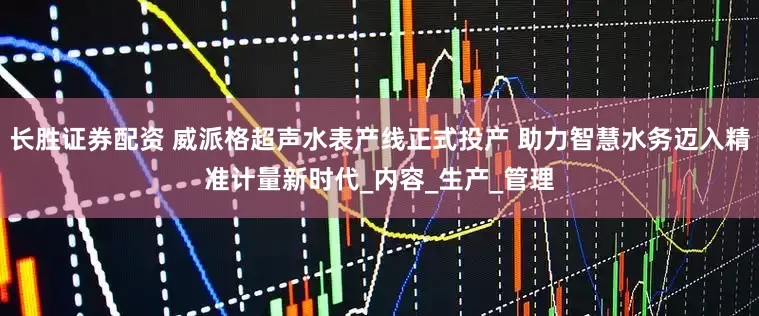 长胜证券配资 威派格超声水表产线正式投产 助力智慧水务迈入精准计量新时代_内容_生产_管理