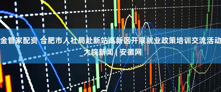 金管家配资 合肥市人社局赴新站高新区开展就业政策培训交流活动_大皖新闻 | 安徽网